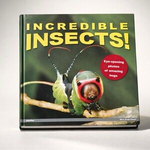 🧚🏻♀️ Incredible Insects! Hardcover Book Eye-Opening Bug Photography Science